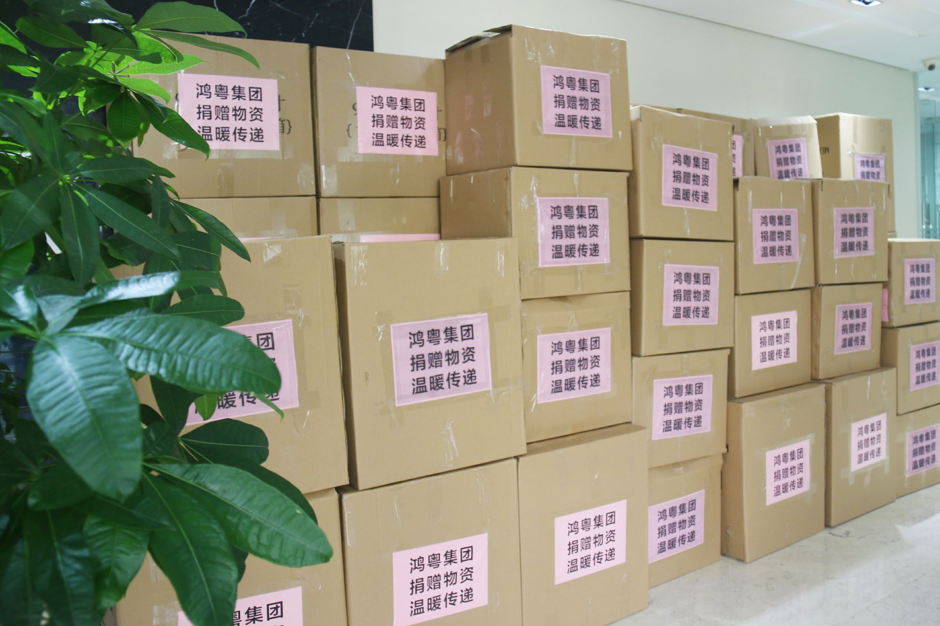 宁波张伟新媒体营销策划有限公司公益回顾丨家国同欢月同圆 温暖满载甘孜州(图1)